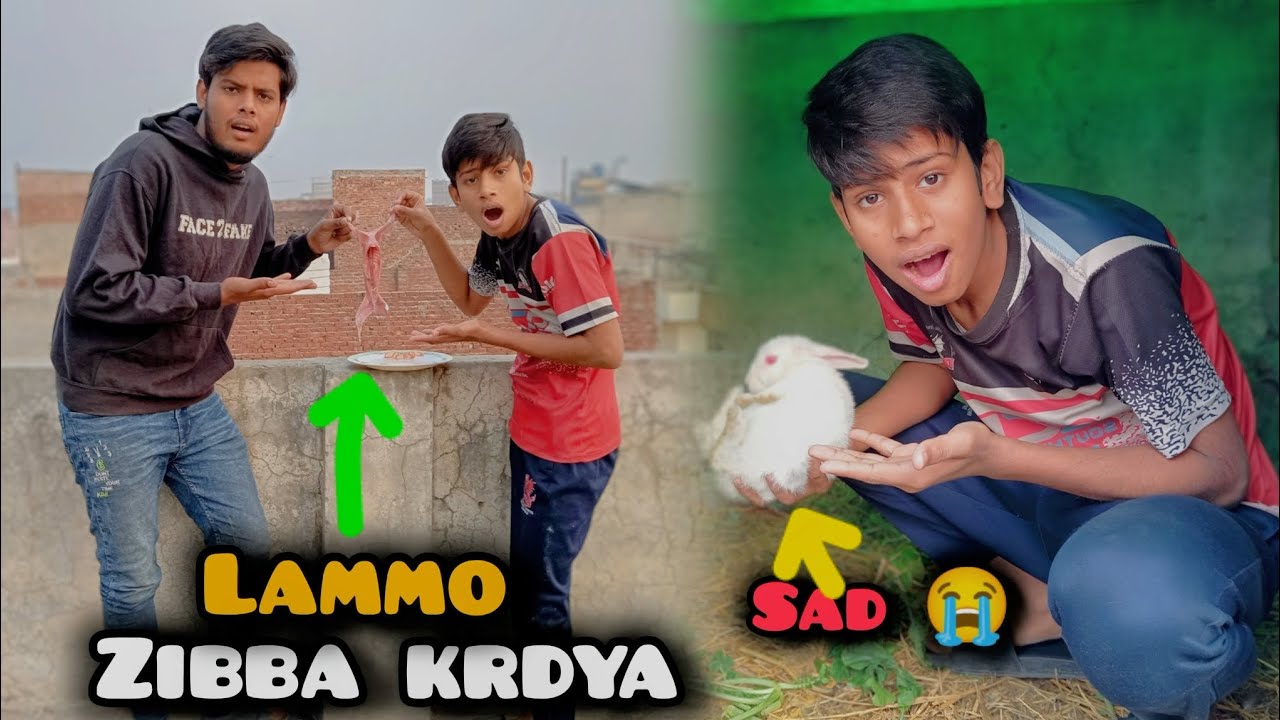 LAMMO bohot bimar tah isliye humne usy zibba krdya😢 limmo Akeli sad ...