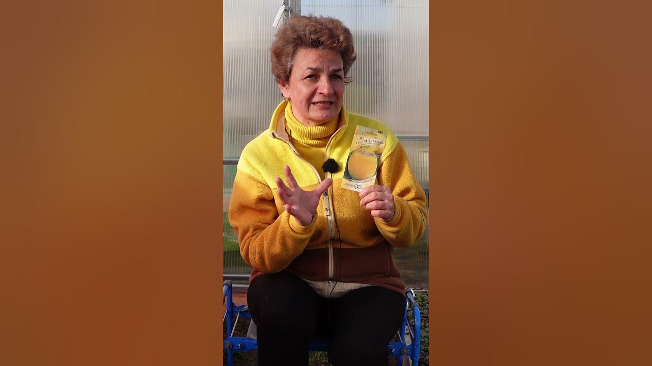 САМАЯ РАННЯЯ ДЫНЯ - ЗЛАТО СКИФОВ #shorts - YouTube