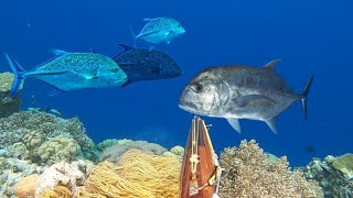 Berburu Ikan Depan Rumah Langsung Buat SASHIMI 