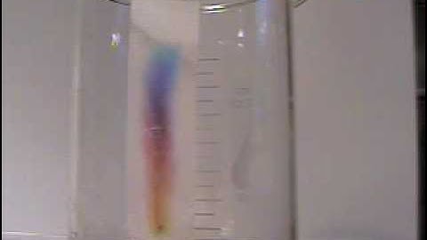 Paper Chromatography: Time Lapse Video