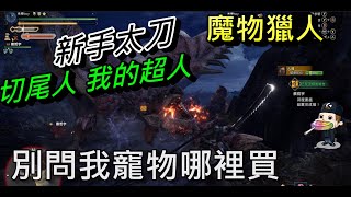 【Monster Hunter World: Iceborne 】魔物獵人  冰原｜太刀新手剛加入!!｜飛龍刀刷火龍