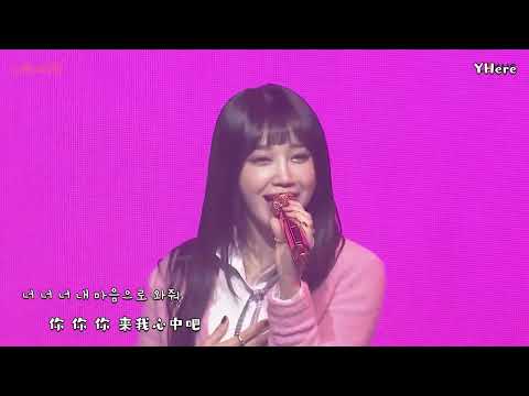 [中韓歌詞Live] Apink (에이핑크) - 'Wishlist' (Pink Eve)