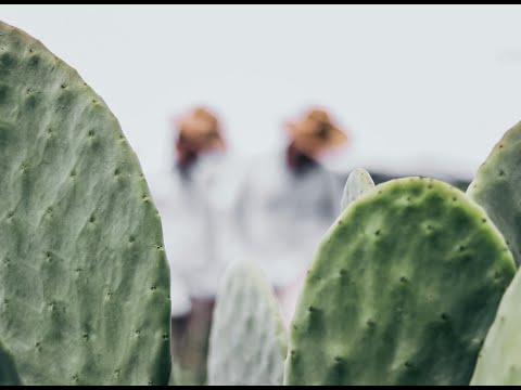 Look Sharp With These Cactus Leather Accessories