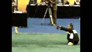 Wudang Wudao Master Qing Feng Zi - Zi Wu Rong - Competition Performance