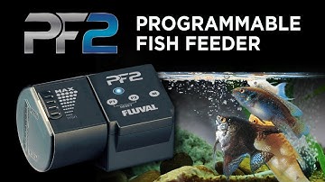 Fluval PF2 Programmable Fish Feeder