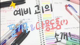 [써유]예비고1의 필기구 소개&다용도품 소개 ✨ | 새학기 | 다이소 연필꽂이 | 필기구 | 형광펜 | 볼펜 | 필기구 추천 | 고1 | 써유