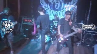 Skinhead Fighting Crew - The Orak Arik LIVE