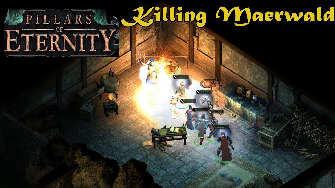 Pillars of Eternity Killing Maerwald Walkthrough Gameplay Part 27