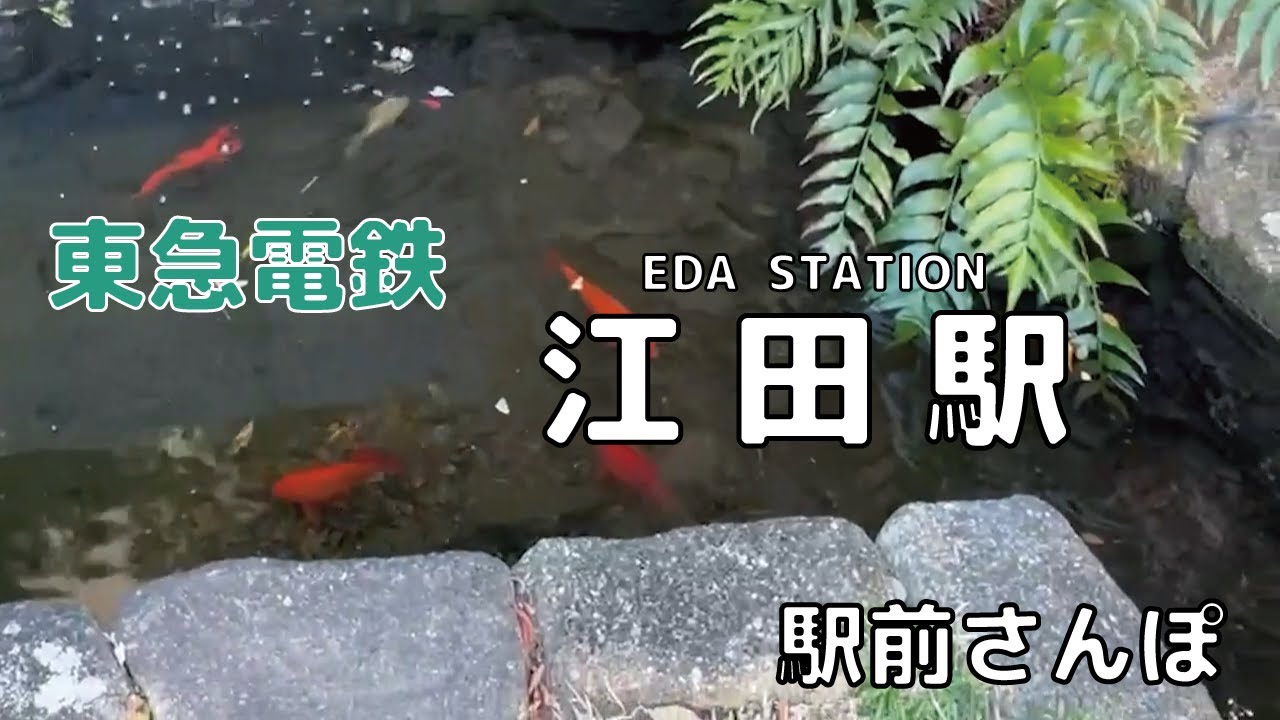 【駅前さんぽ】江田駅周辺をさんぽ