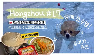 항저우 브이로그 17ㅣ한중커플ㅣ⚠️욕설이 오가는 평화로운 일상 VLOGㅣ강아지 수영교실🐶ㅣ양다리 구이ㅣwalmartㅣ간장비빔국수 만들기 도전!ㅣ요리브이로그ㅣ中韩情侣