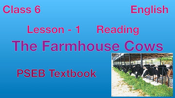 Class 6 - English | Lesson -1 | The Farmhouse Cows - Reading and Translation in Punjabi | PSEB