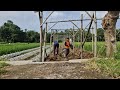 AMAZING SOIL LOOSENING TECHNIQUE USING TRADITIONAL FARM TOOLS! - organic farming tips