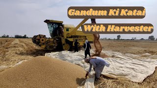 Gandum Kai Katai| Watch How the Harvester Machine Cuts Wheat in Minutes| Vlog # 77 | Vlog Pakistan|