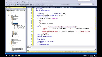 ¿Qué significa BLOB en SQL?