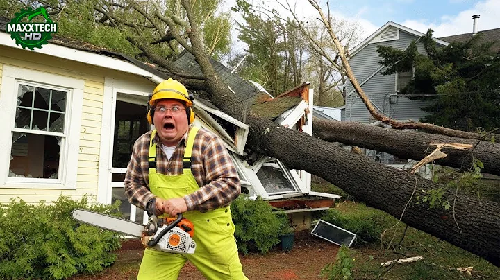 Man Almost DIES While Cutting A Tree | Tree Cutting Fails & Tree Falling on Houses Compilation