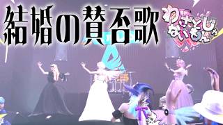 【わざとじゃないもん！】結婚の賛否歌 Live music video #わざもん #ストグラseason2【オリジナル曲】