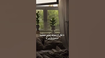 قال لا تخافا القارئ/ يوسف عثمان الكردي