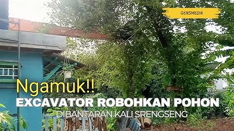 Excavator robohkan pohon di bantaran kali srengseng #dedimulyadi