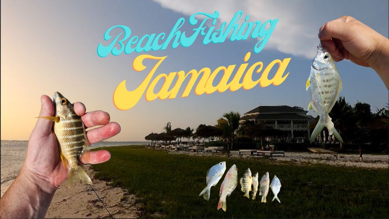 Beach Fishing a Resort in JAMAICA
