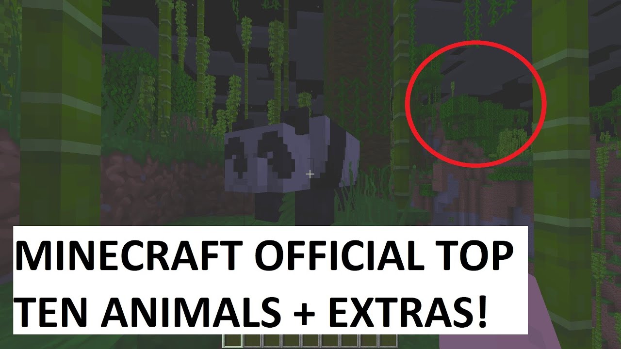 TOP 10 OFFICIAL MINECRAFT ANIMALS + RUNNERS UPS! - YouTube