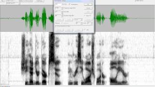Tasko Speech Lab: Altering Spectrogram Settings in TF32