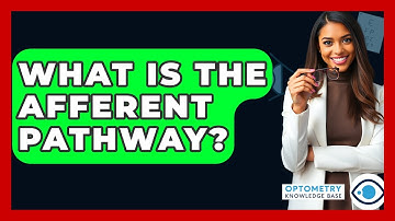 What Is The Afferent Pathway? - Optometry Knowledge Base