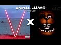 Animal jaws  animals x jaws  maroon 5 x aviators