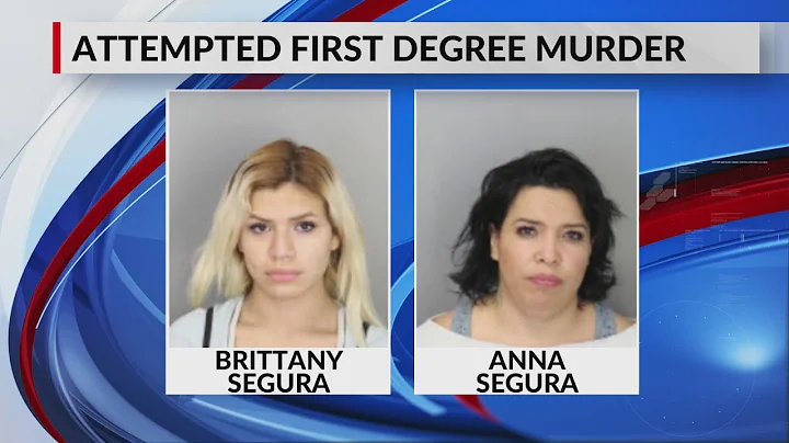 Woman accused of stabbing mother's boyfriend 16 times