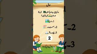 General Knowledge Urdu 🤯 | 5 Amazing Questions & Answers #shorts #generalknowledge #quiz #gkquiz