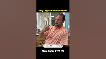 Why Dogs Get Stomachaches | Marc Smith, DVM, MS Explains