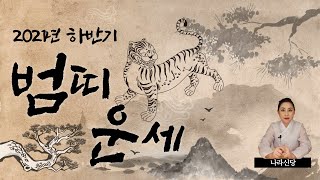 [서울점집][고대점집] 2021년 하반기 범띠운세 재물운 금전운 애정운 건강운 (24세/36세/48세/60세…