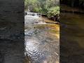 Katoomba falls #bluemountains #shorts #sydney #fyp