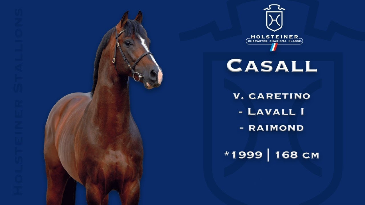 Holsteiner Verbandshengste 2023 | Casall