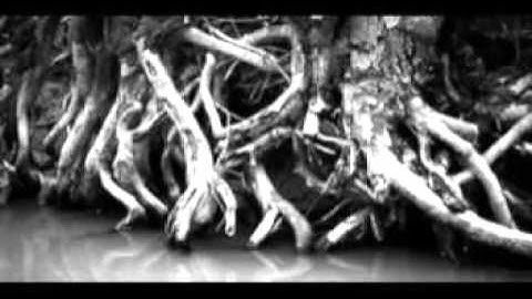 Grim- my last request