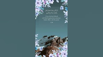 #حمزة_بوديب #الرقية_الشرعية #القارئ_حمزة_بوديب #دعاء #اكسبلور #viral #fypシ #خواطر #tiktok #good
