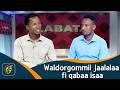 Waldorgommii jaalalaa fi qabaa isaa