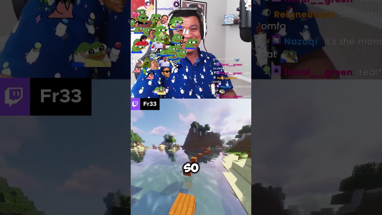 Meow! #fyp #cat #minecraft #funny #twitchclip #twitchstreamer