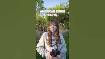 Quick American Robin Facts #birds #nature #outdoors #birding