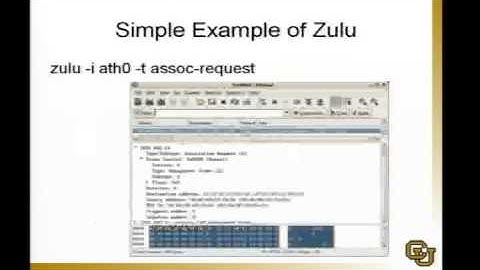 DEF CON 14 Hacking Conference Presentation By Damon McCoy - Zulu - Video