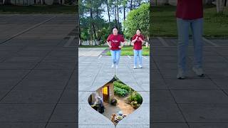 Fast Growth Plan Filming and Video Interpretation of Future Stars Special Effects wkjhgfp14