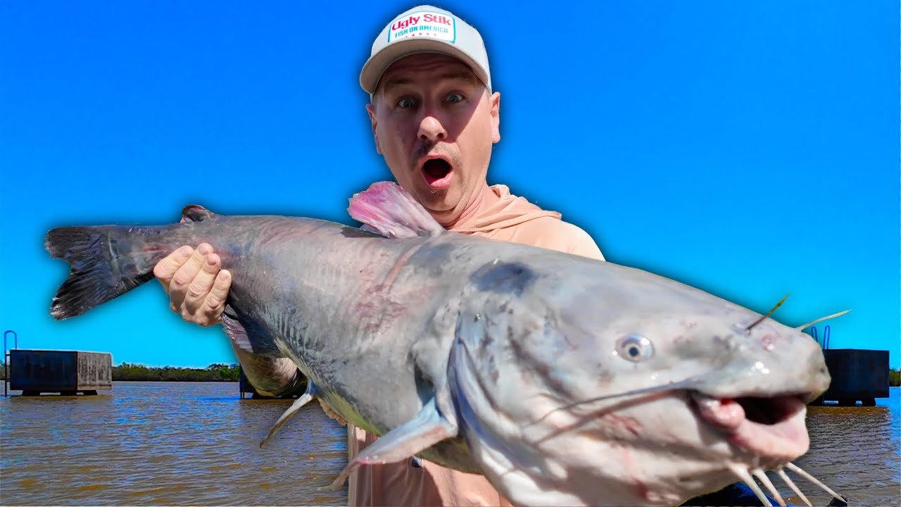 Why do These GIANTS Love it HERE | Jugline fishing for Huge Catfish