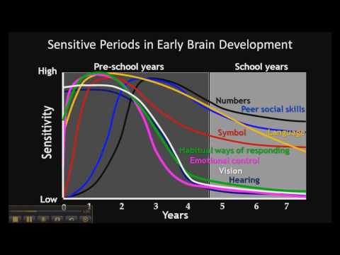 Video: Early Child Development: Benefit Or Harm