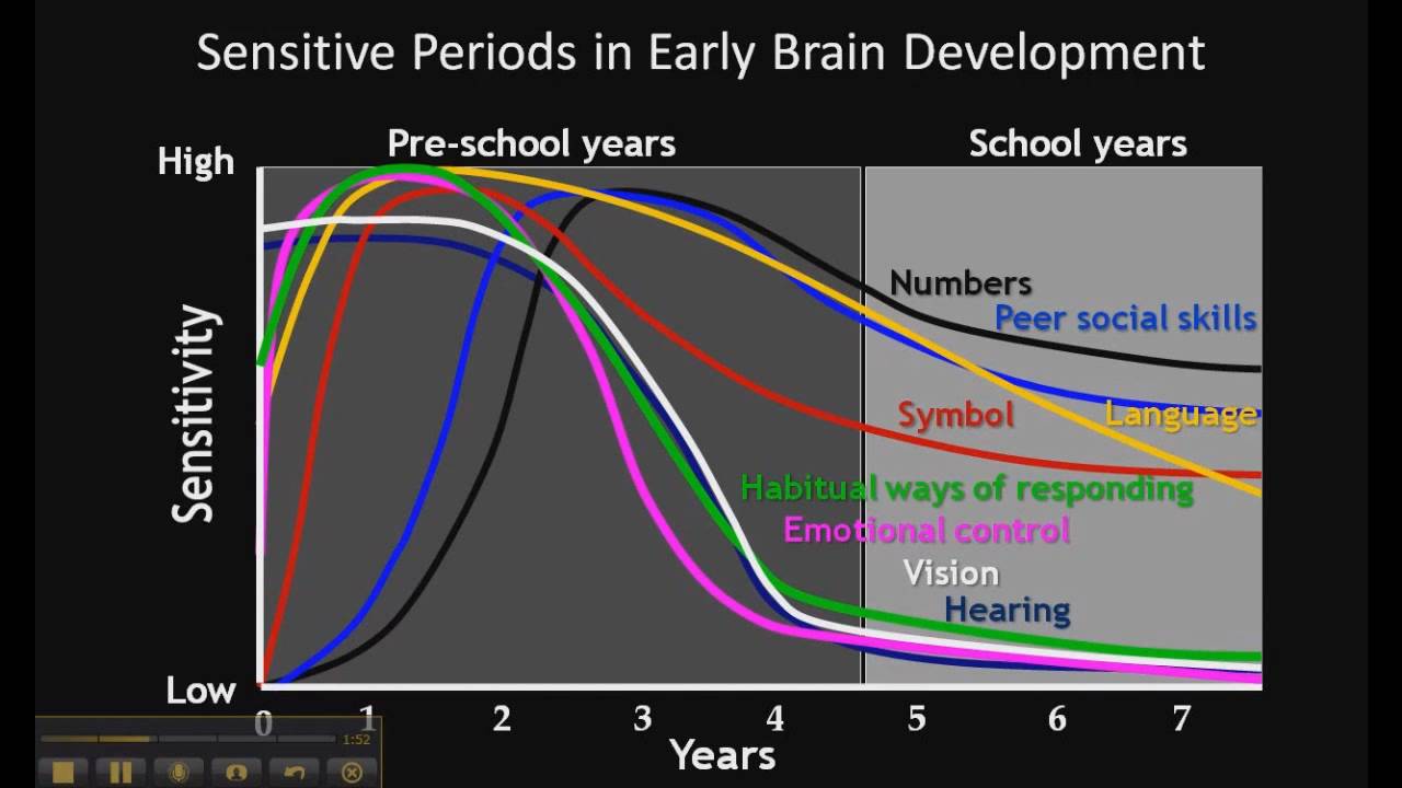 Early Childhood Development Stages Chart