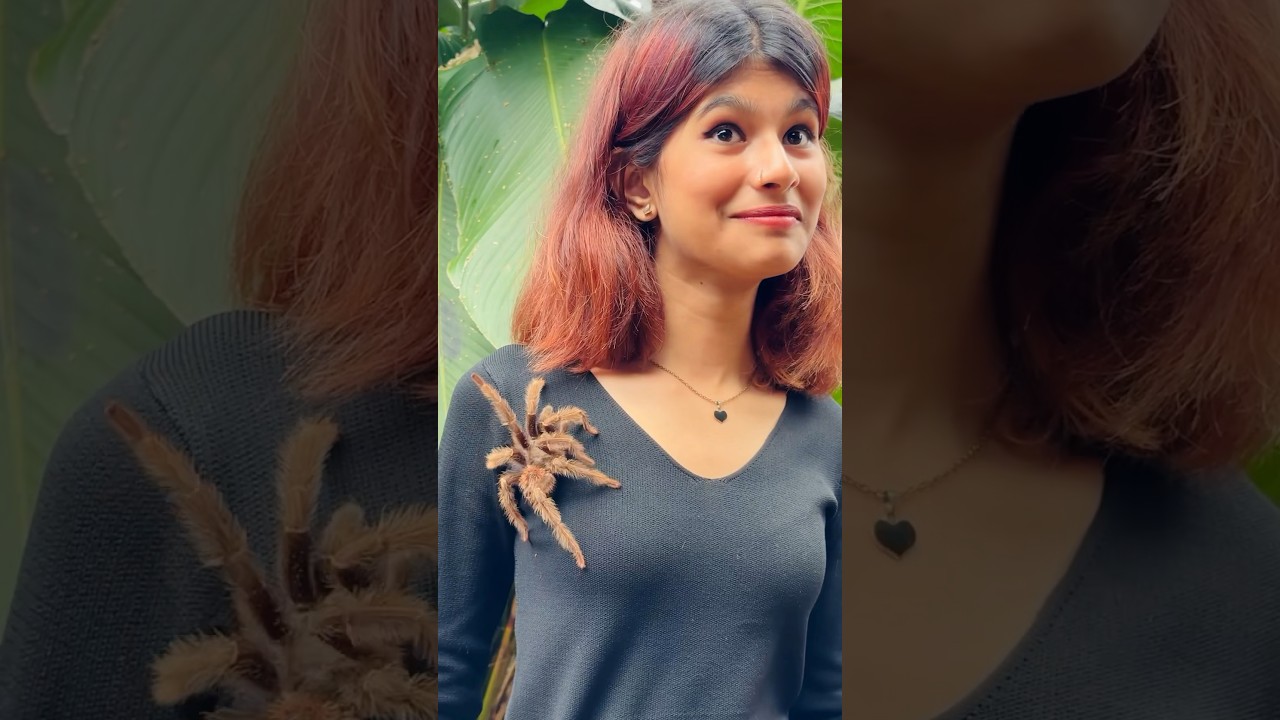 Ithrem variety animals kand kilipoyi🤣🕷️ | thejathangu😉 