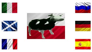 Polish cow in different languages