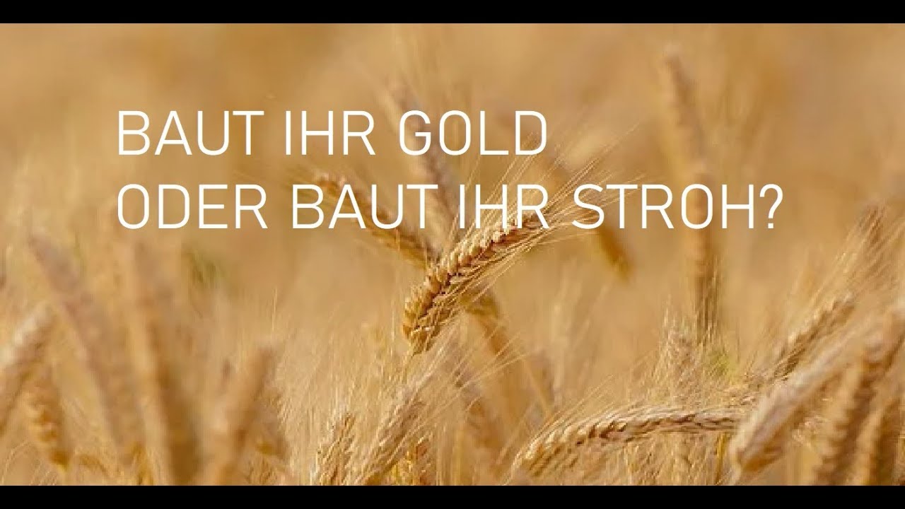 JETZT Trennt Sich Spreu Von Weizen Not, Heugabelkultur, Verfolgung