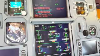 Operational check of emergency generating system I Airbus #fyp #airbus 