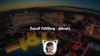 Jacob Tillberg - Ghosts (🕶Music)