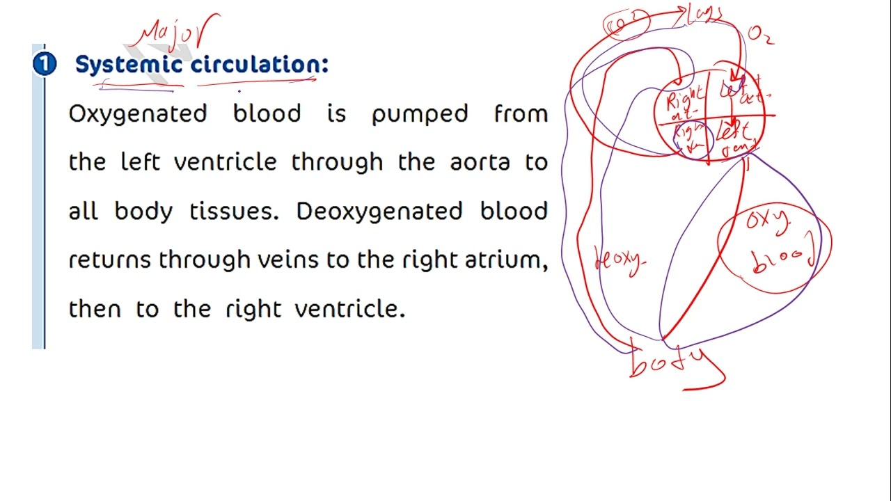 Summary 3 Lesson2 part 1 الباقي