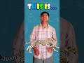Learn Opposites Song 👉 This is big big big.. | Kids English Vocabulary #shorts #education #youtube